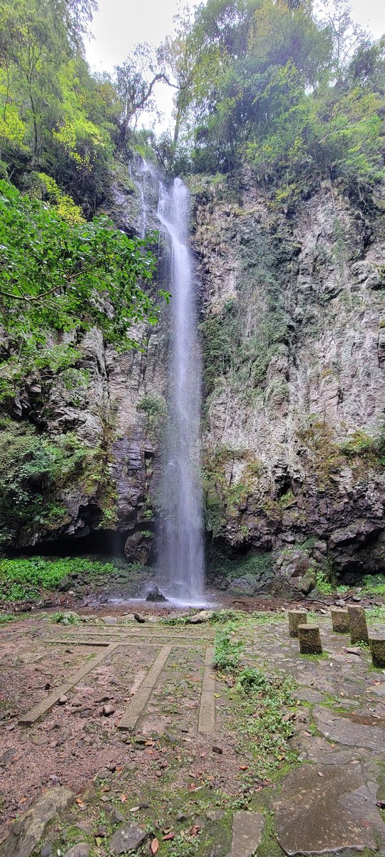 燵也(たつや) tweet media