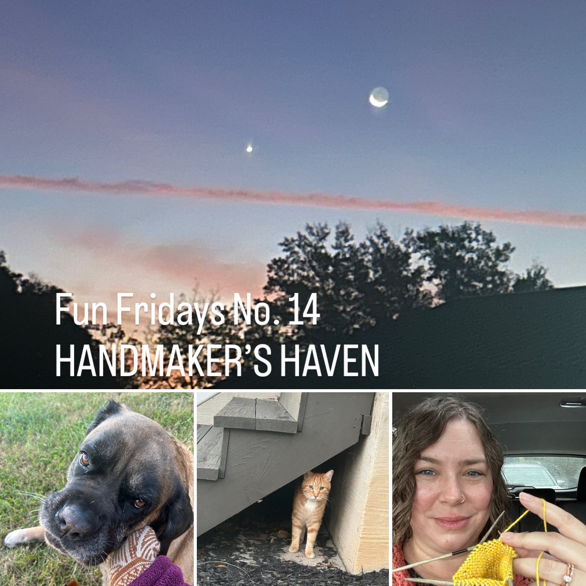 SarahInskeep1's tweet photo. Happy Friday, friends!
In this edition of HANDMAKER’S HAVEN, I share the small things that have been life-giving for me this week:
🧶 knitting
🍁🍄 nature,
🐕 🐈 Sunny &amp; Tango, 
🤭 laughs,
📖 reading

👉🏻 Check it out at: https://t.co/Mv68Qp6tE4 

❤️ https://t.co/HVxT11bQEw