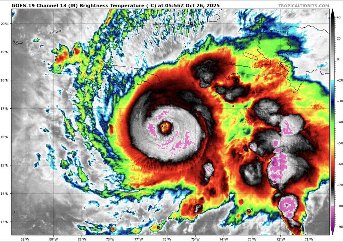 Ruben Hallali tweet media