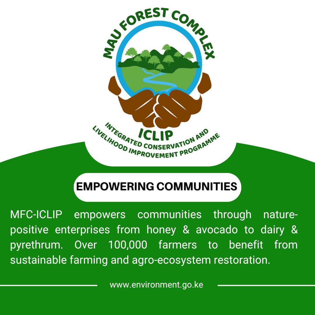 Under #MFC_ICLIP communities will be empowered through nature-positive enterprises  from honey, avocado to dairy and pyrethrum.

Over 100,000 farmers to benefit from sustainable farming and agro-ecosystem restoration.

Building prosperity while restoring nature.