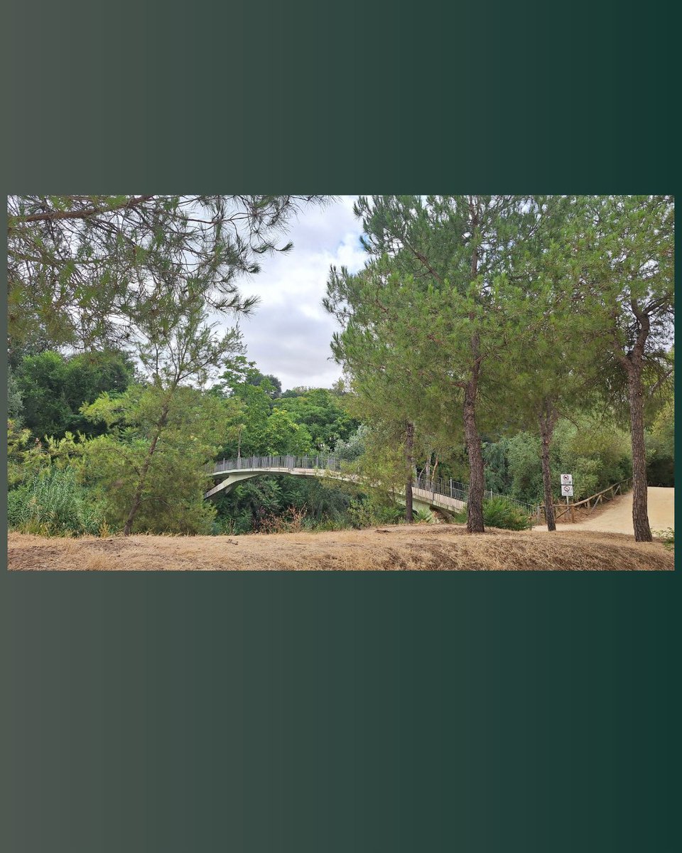 Comenzamos el mes de Noviembre ¿Damos un paseo de puente a puente? 🌉🍂🌳🌉

#TurismoAlcaládeGuadaíra #puentes #paseos