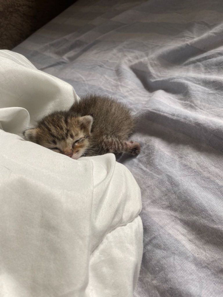 seolfull's tweet image. huff .