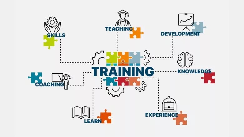 RnRMag's tweet image. Diversify your training = stronger teams. 
Learn why a diversified approach can make a huge difference for the future of your business.
👉 brnw.ch/21wWWvy
#RestorationTraining #TeamGrowth #IndustryEducation
Photo credit: 300_librarians / iStock/ Getty Images Plus