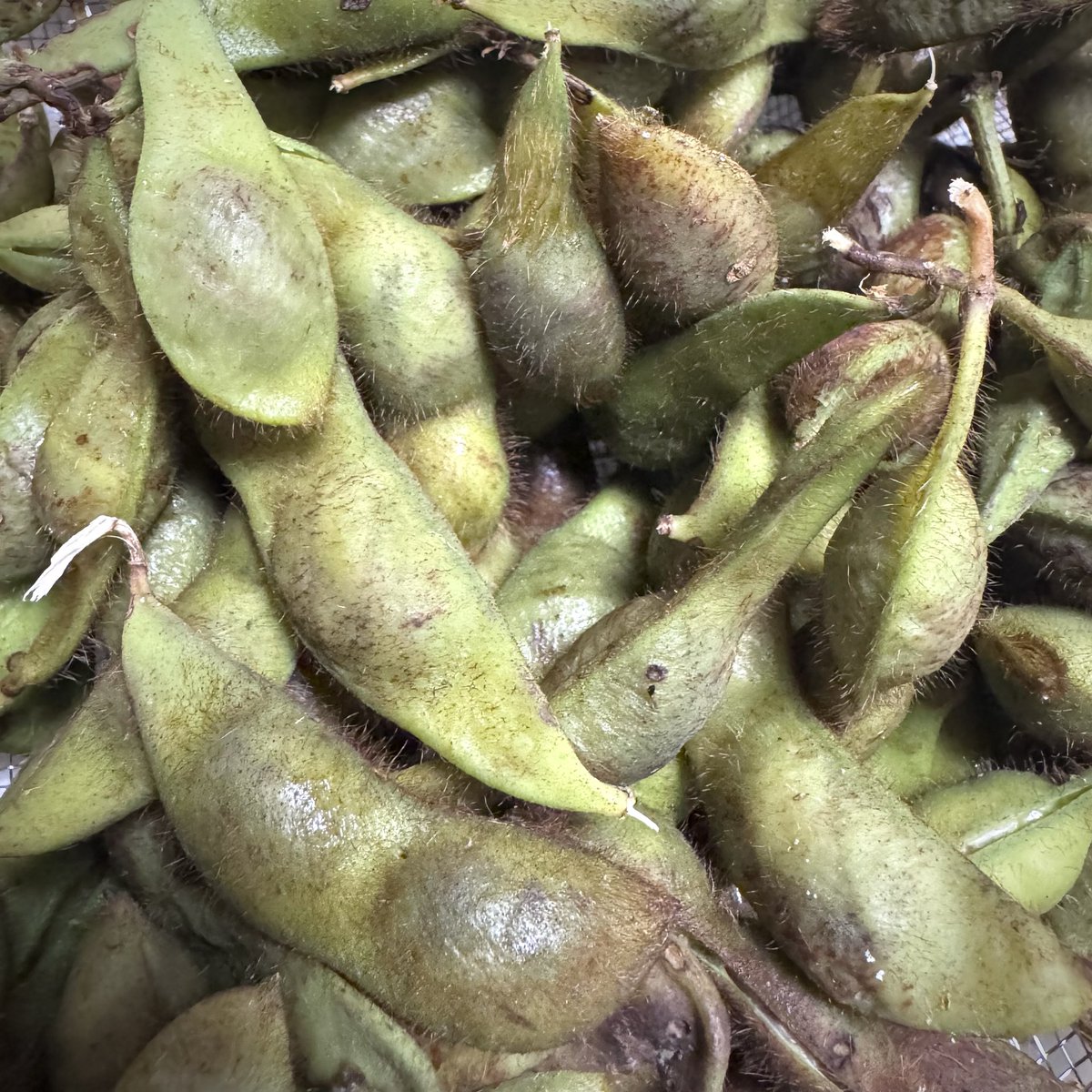 えだまめページ 築地 田所食品 on X