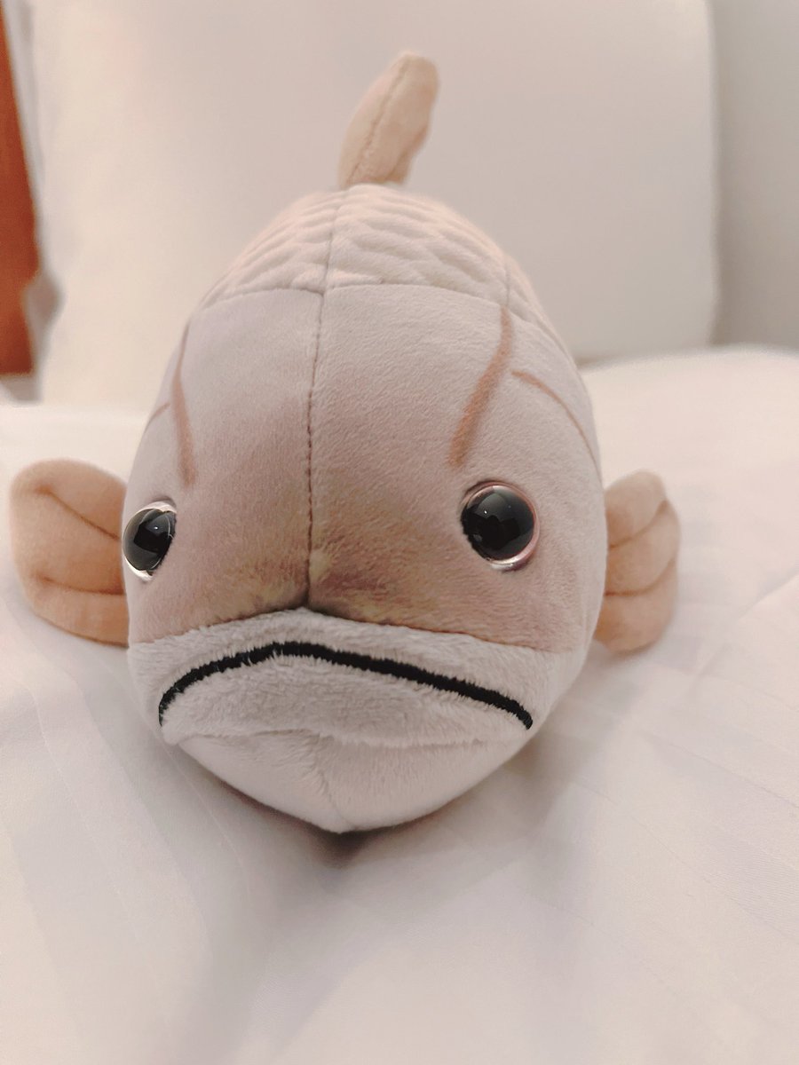 さんさんページ しょうき (@s11226) / Posts / X