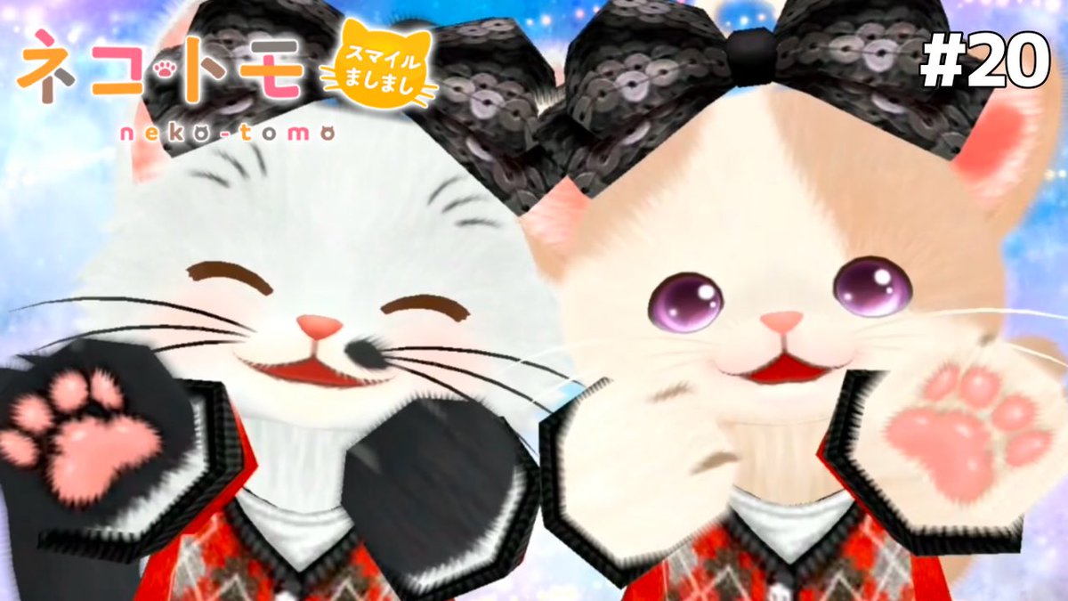 断捨離ねこ 未秋 on X