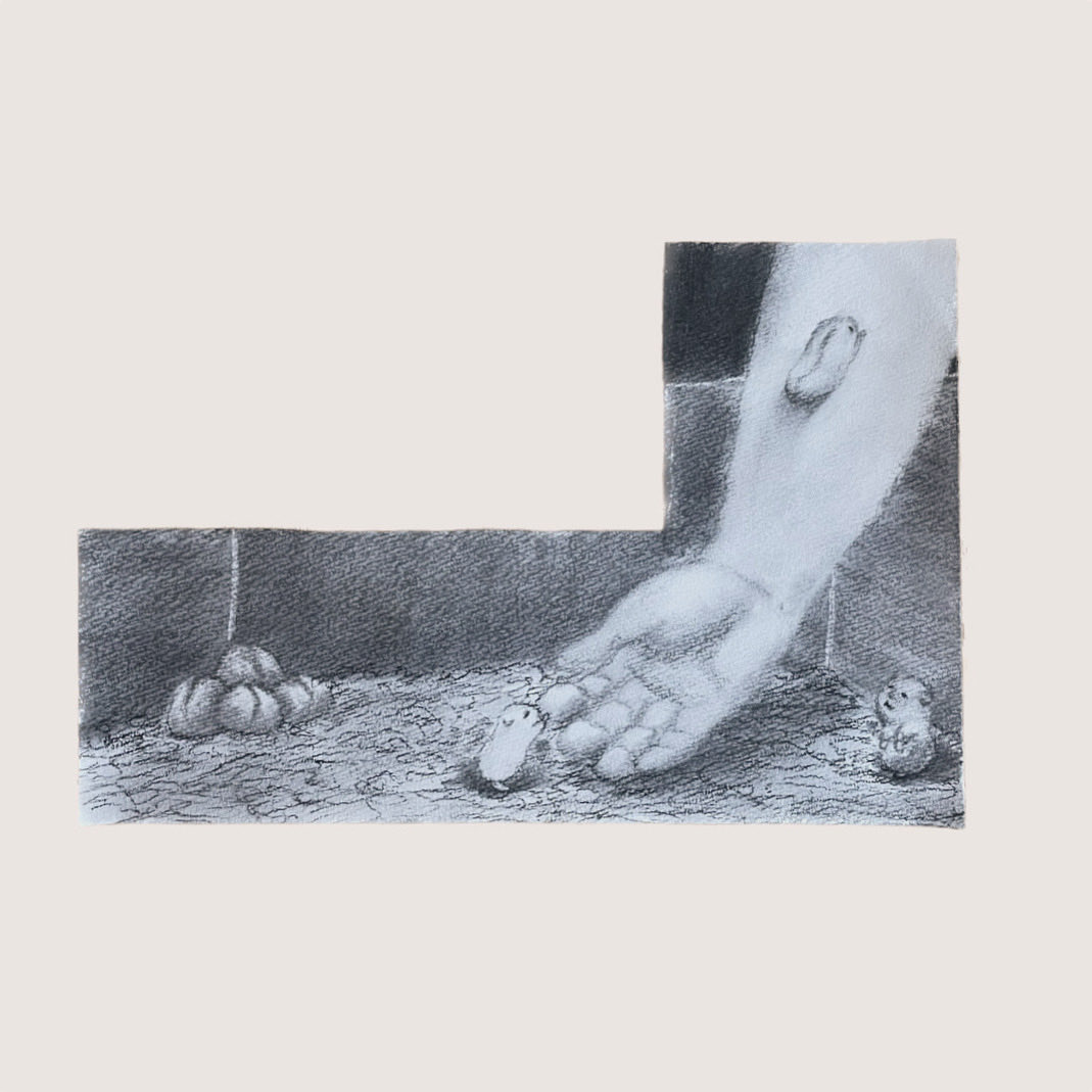 Y*☆様 銀の霊波之光 Light Novel Volume 10 | Shinja Zero no Megami-sama to