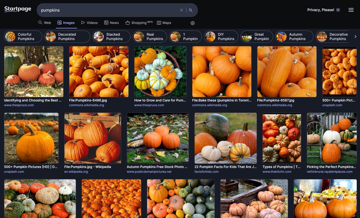 startpage's tweet image. Getting into the Halloween spirit. #NationalPumpkinDay