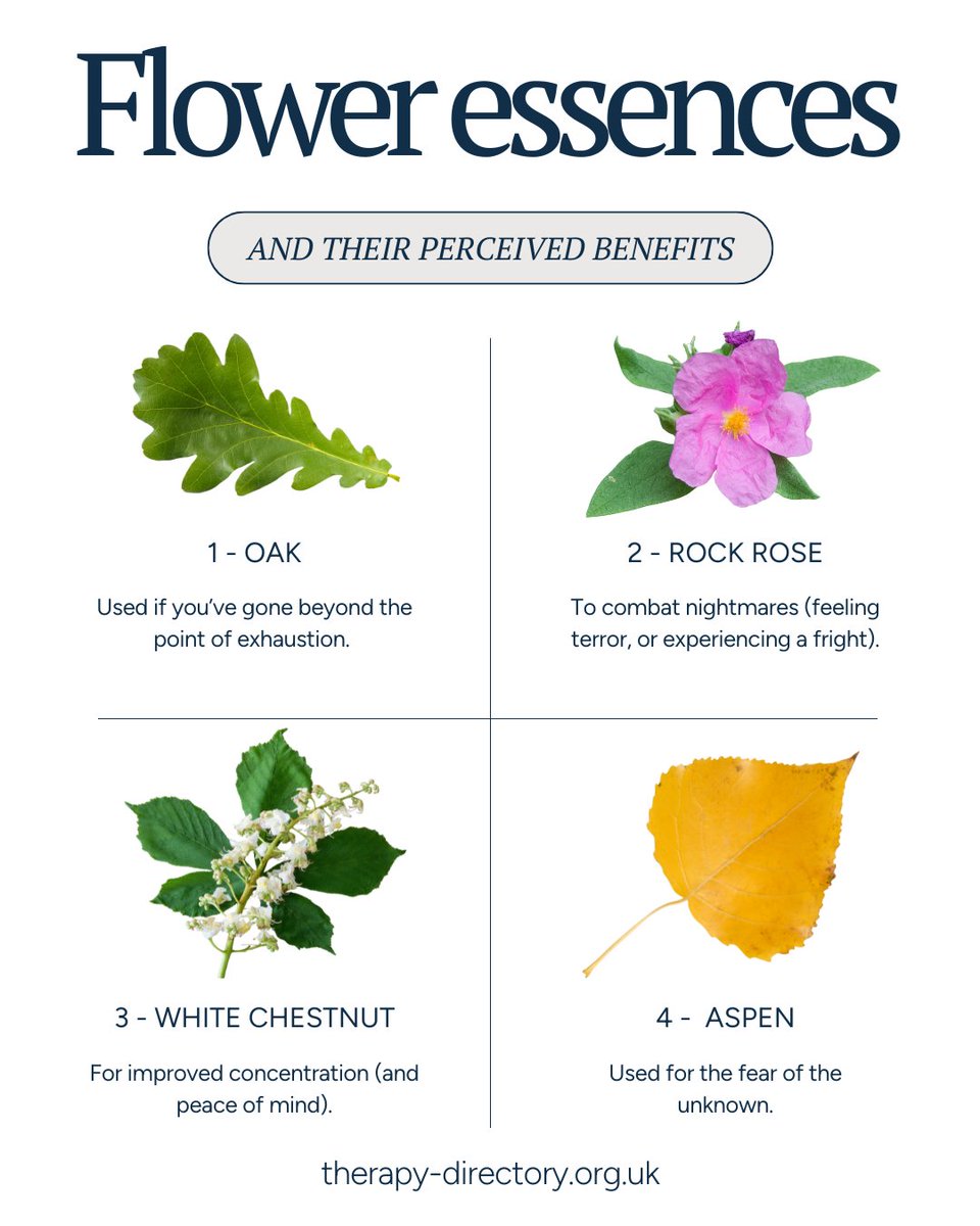 Did you know about the perceived benefits of these flower essences?  🌸

#TherapyDirectory #HolisticHealth #EverydayWellbeing #HappifulFamily