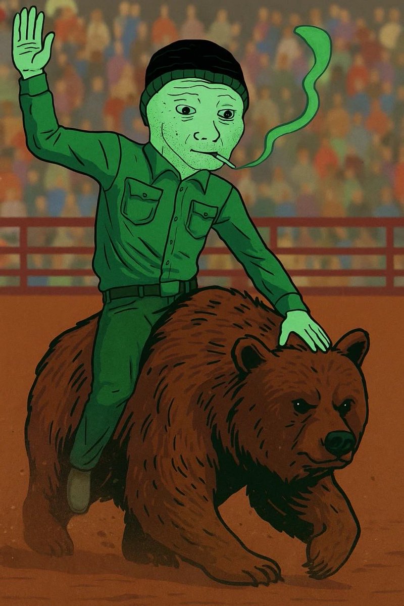 Bears are getting abused right now.