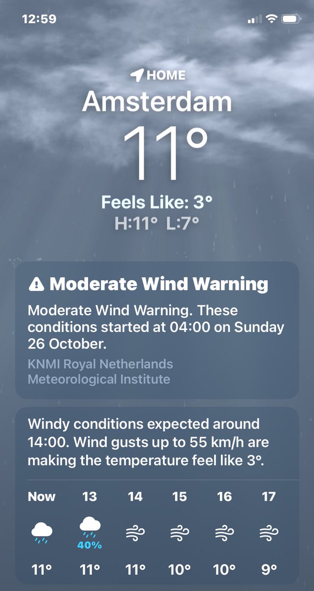 Pioggia ☔️ e vento 💨, giornata perfetta per casa, divano e tv. Indovina chi deve uscire controvoglia?