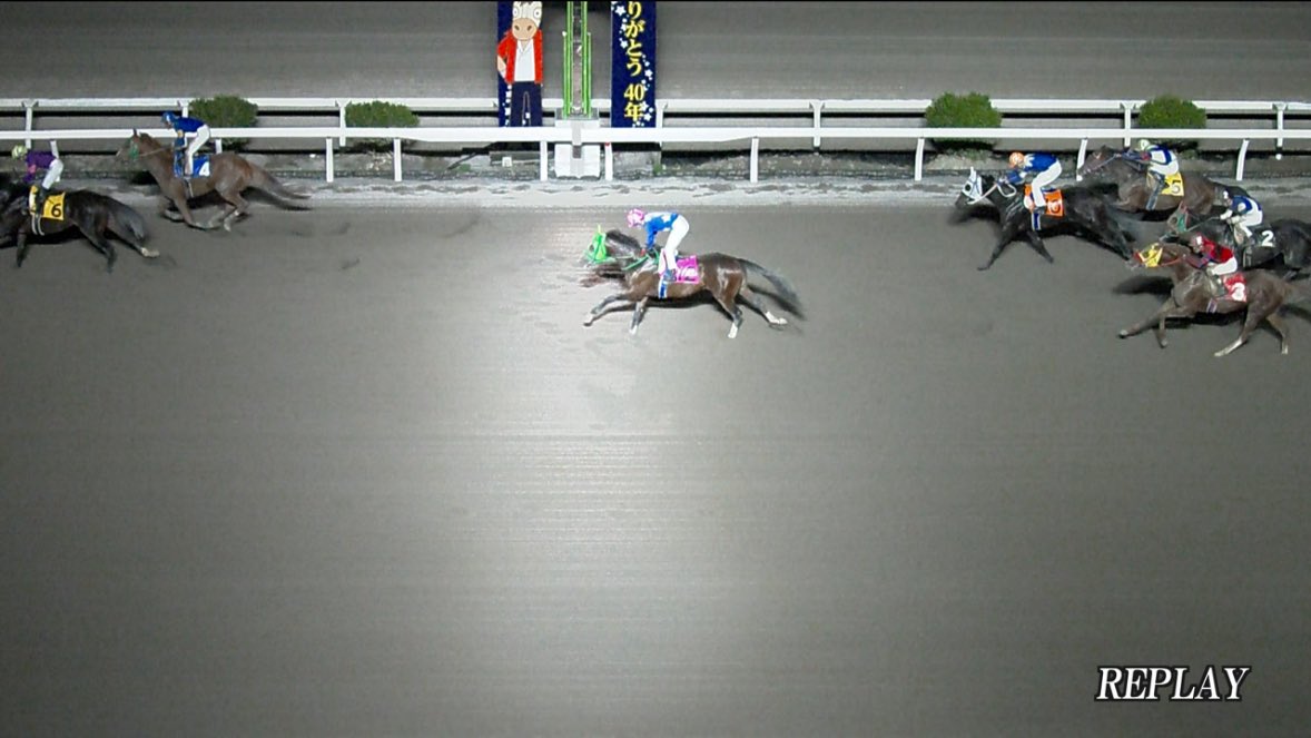 競馬予想　極4 戸塚記念2025予想｜川崎2100m（ダート・左）展開・追い切り評価