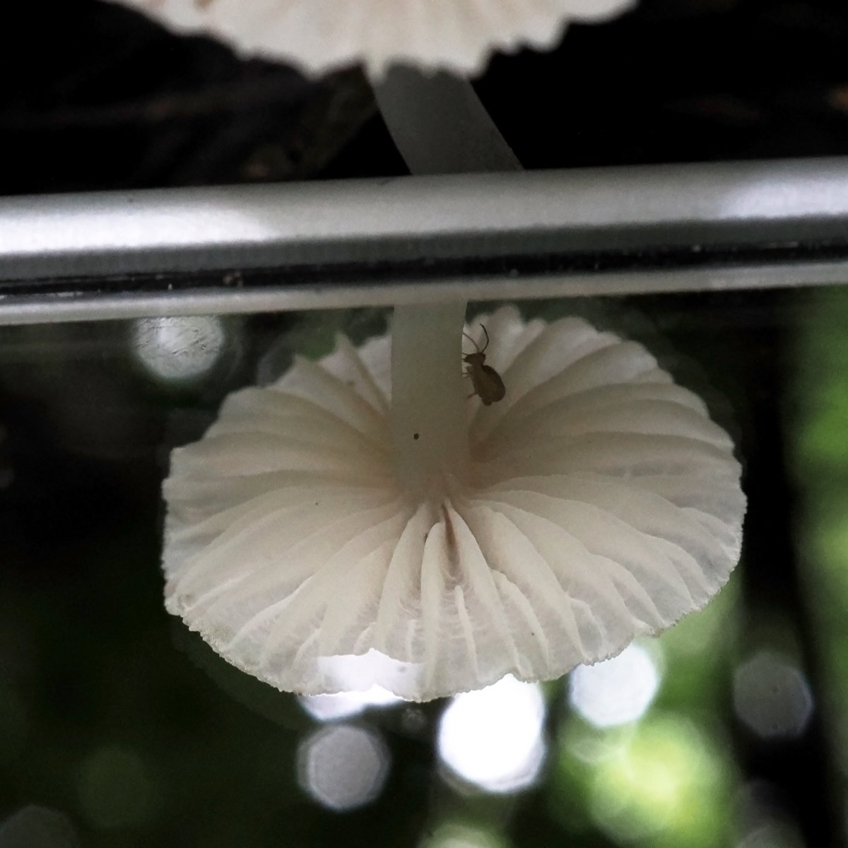 きのこ　1113 Zx110 Zx120 Zx130 Final Drive Assembly Travel Reduce Gearbox