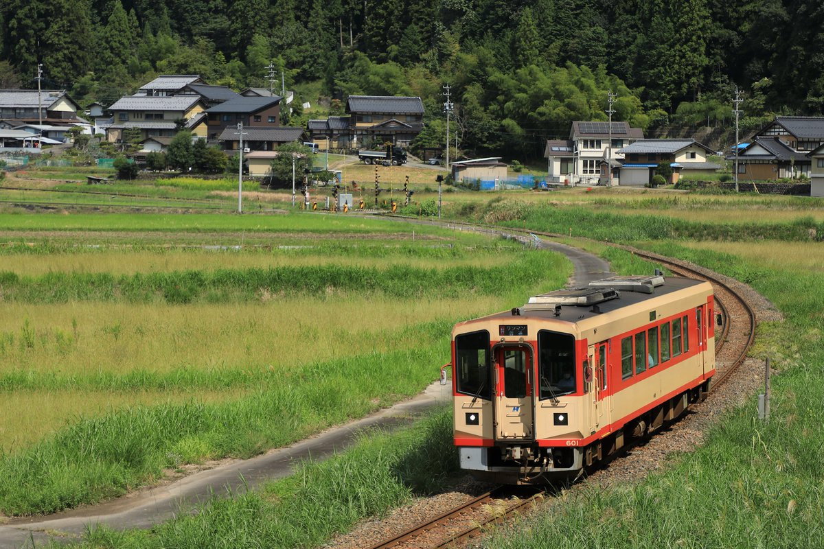 菊川の成金 菊川の成金 キングセイコー＞より、ダイヤルに日本の伝統紋様