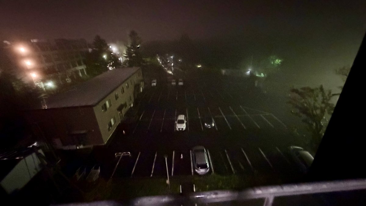 けっこうな雨☔。