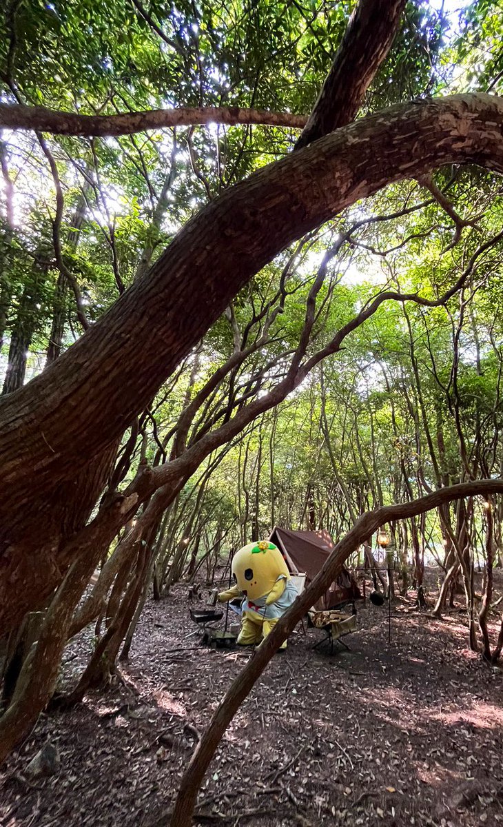 ヾ(。゜▽゜)ノ秋キャン♪