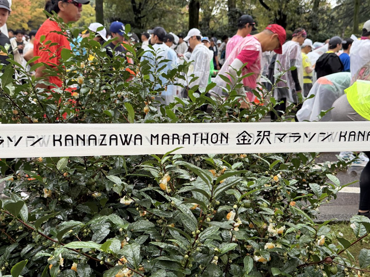 gPVCAPR3fo2sSDH's tweet image. 色づき始めた並木と金木犀の香り〜
この時期の金沢🍁
よく雨が降るのもアリでした。
ボランティアの皆さん､参加されたランナーの方達､お疲れ様でした♪
今夜はあったかくして､ゆっくり休みましょうね💤
#金沢マラソン2025