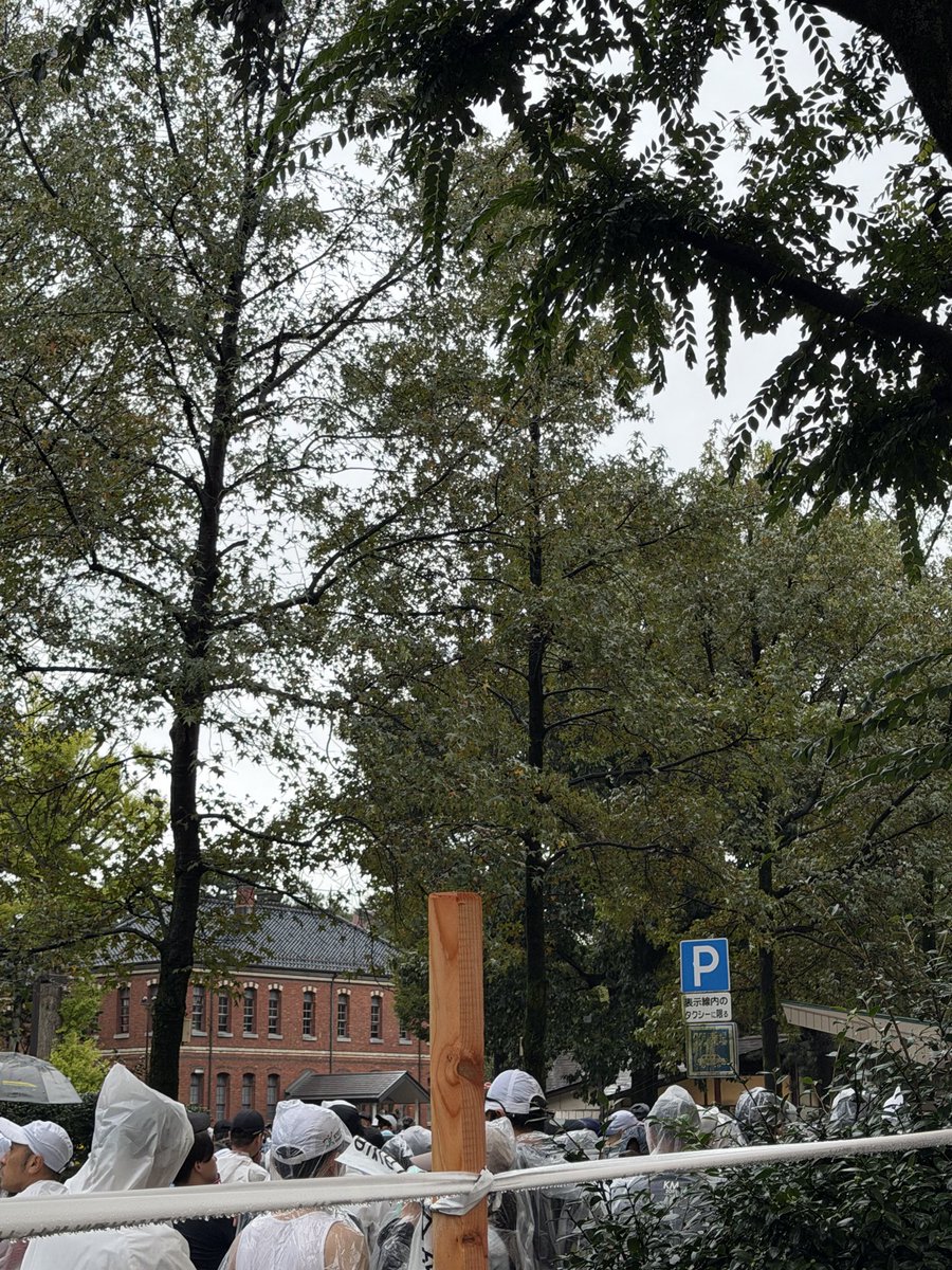 gPVCAPR3fo2sSDH's tweet image. 色づき始めた並木と金木犀の香り〜
この時期の金沢🍁
よく雨が降るのもアリでした。
ボランティアの皆さん､参加されたランナーの方達､お疲れ様でした♪
今夜はあったかくして､ゆっくり休みましょうね💤
#金沢マラソン2025