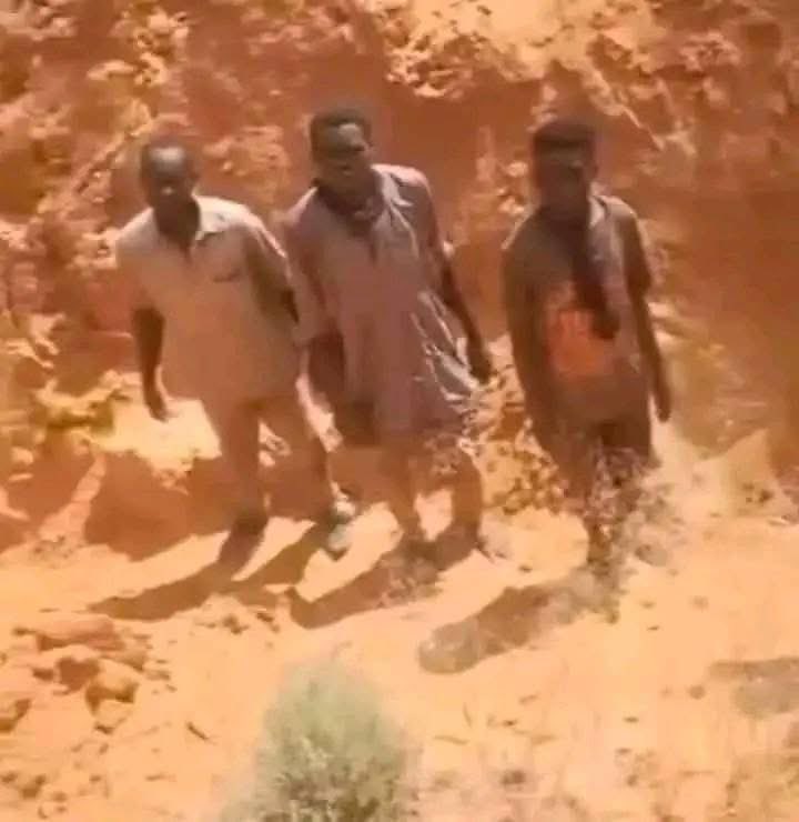 جعلوهم يحفرون قبورهم بأيديهم 
ثم أعدموهم رمياً بالرصاص 
وذنبهم أنهم هربوا كيس طحين ومكرونة لأهلهم الجياع المحاصرين في الفاشر في السودان 

جريمة تقشعر منها الأبدان
انقذوا السودان