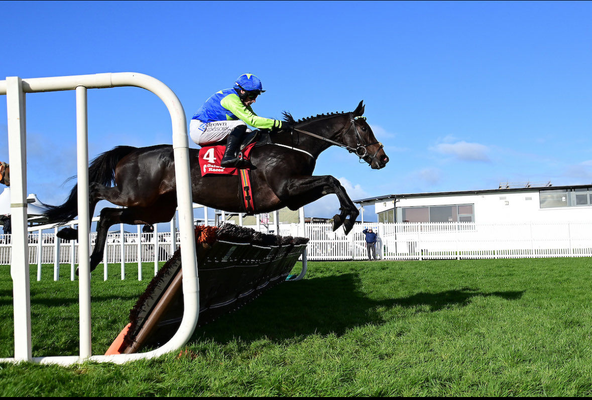 timodriscoll2's tweet image. Delighted with #eachtotheirown getting off the mark yesterday @Galway_Races. Thanks to #seanflanagan &amp;amp; Barry Connell. Exciting prospect 🙏