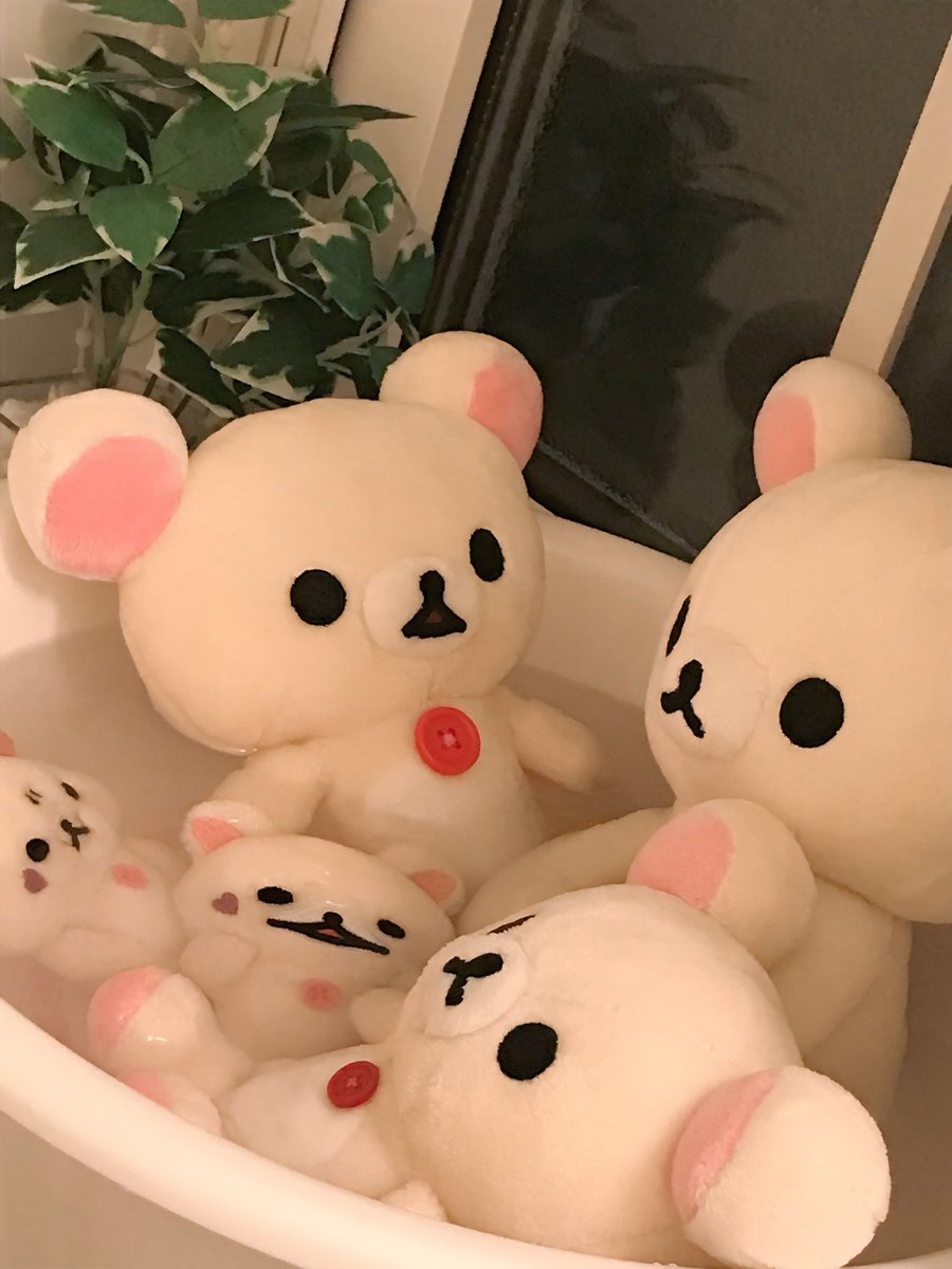 しろもふ (@yasashi_rotan) / Posts / X