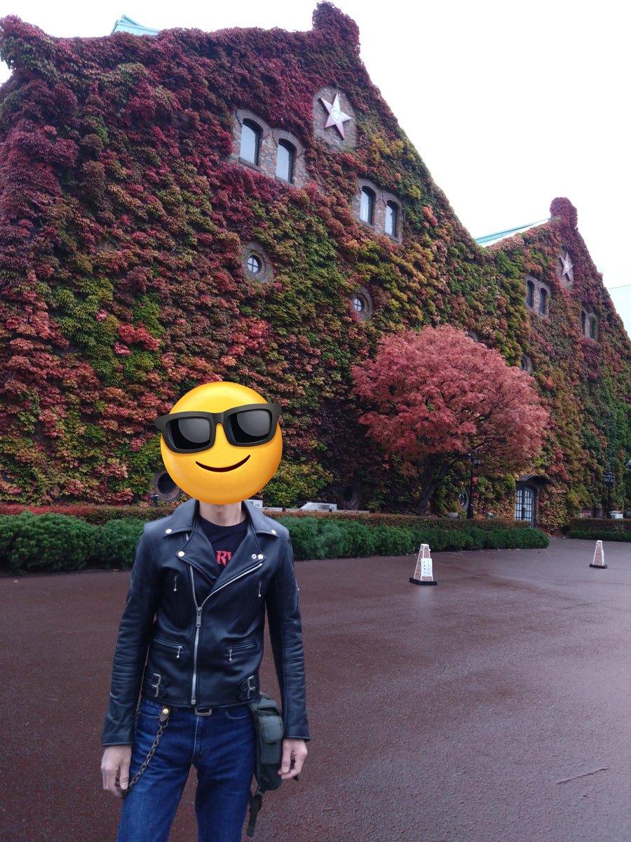 【希少】六本木夢物語　dreams of six trees PLAY! MUSEUM 図録】柚木沙弥郎 life・LIFE（小鳥