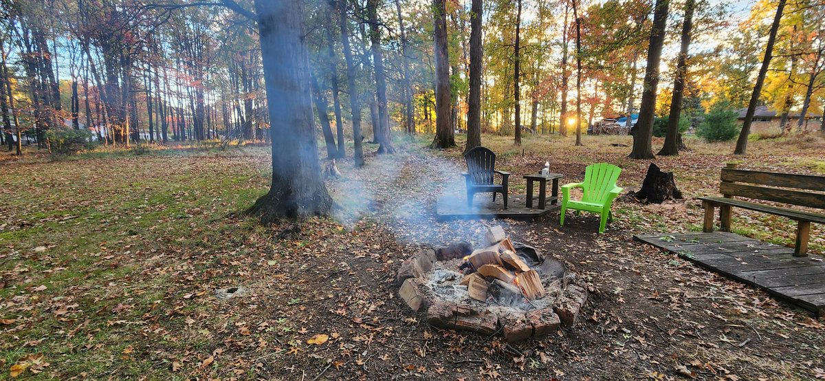 Good Morning! It's Game Day! Go Browns! #DawgPound