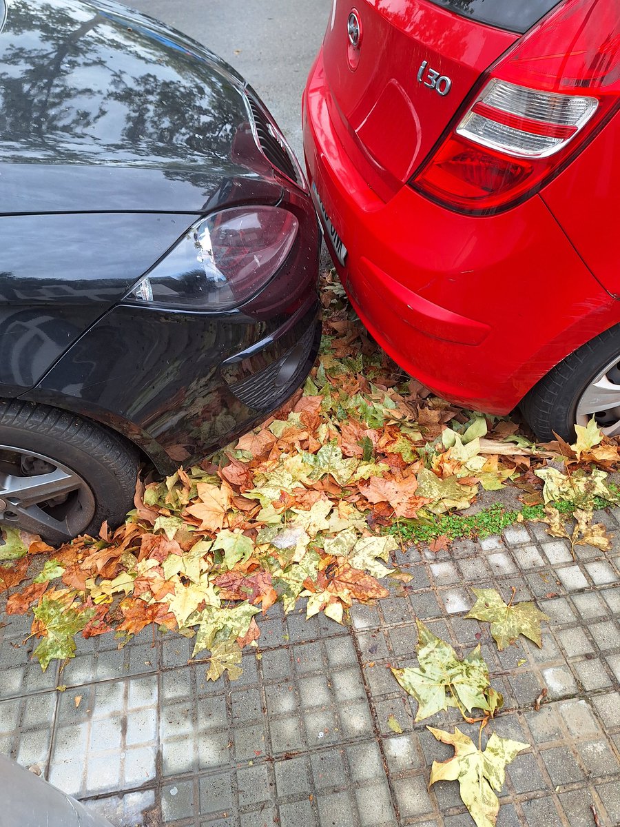 Mentre la ciutat bull al ritme del Corre Tapes, els serveis públics municipals, allò pel que paguem impostos, continua amb la seva ineficiència habitual i 4 dies després de les ventades tot continua igual o pitjor per la pluja d'avui
Cerdanyola facta i festa, no només festa