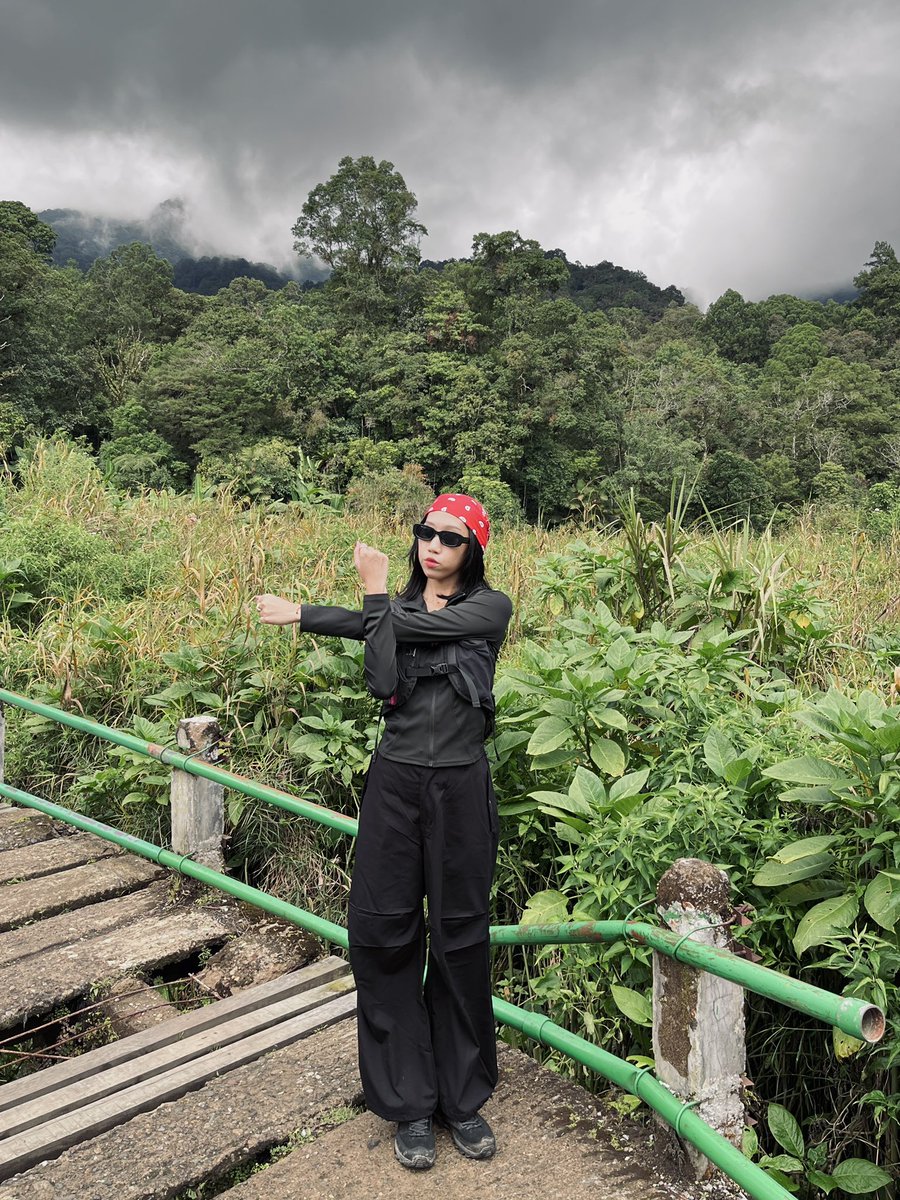 fithetic__'s tweet photo. 🍃🌱🌿 https://t.co/0MoCsgkOm9