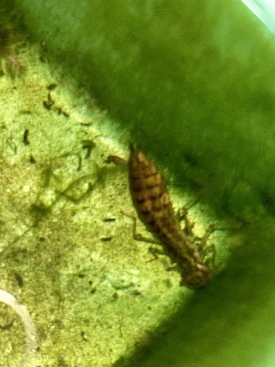 プラス(+-)マイナス tweet media