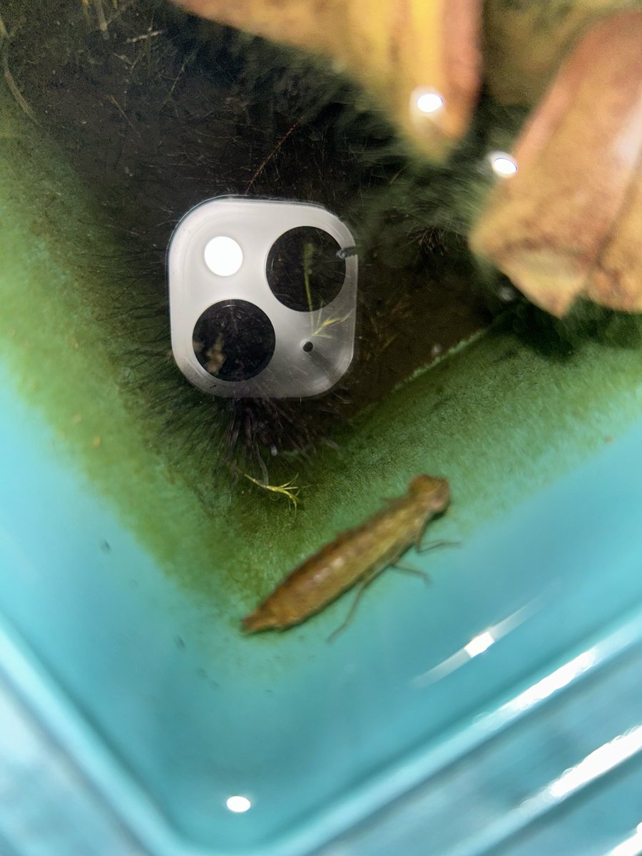 プラス(+-)マイナス tweet media