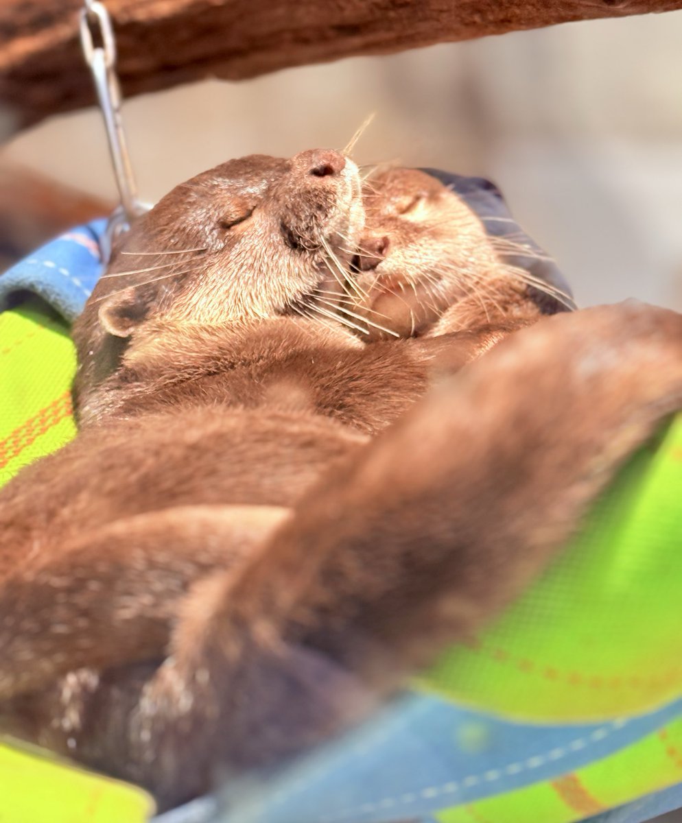 くまつな⭐︎ 小松菜奈 Nana Komatsu fanstagram (@502.7__fan) • Instagram