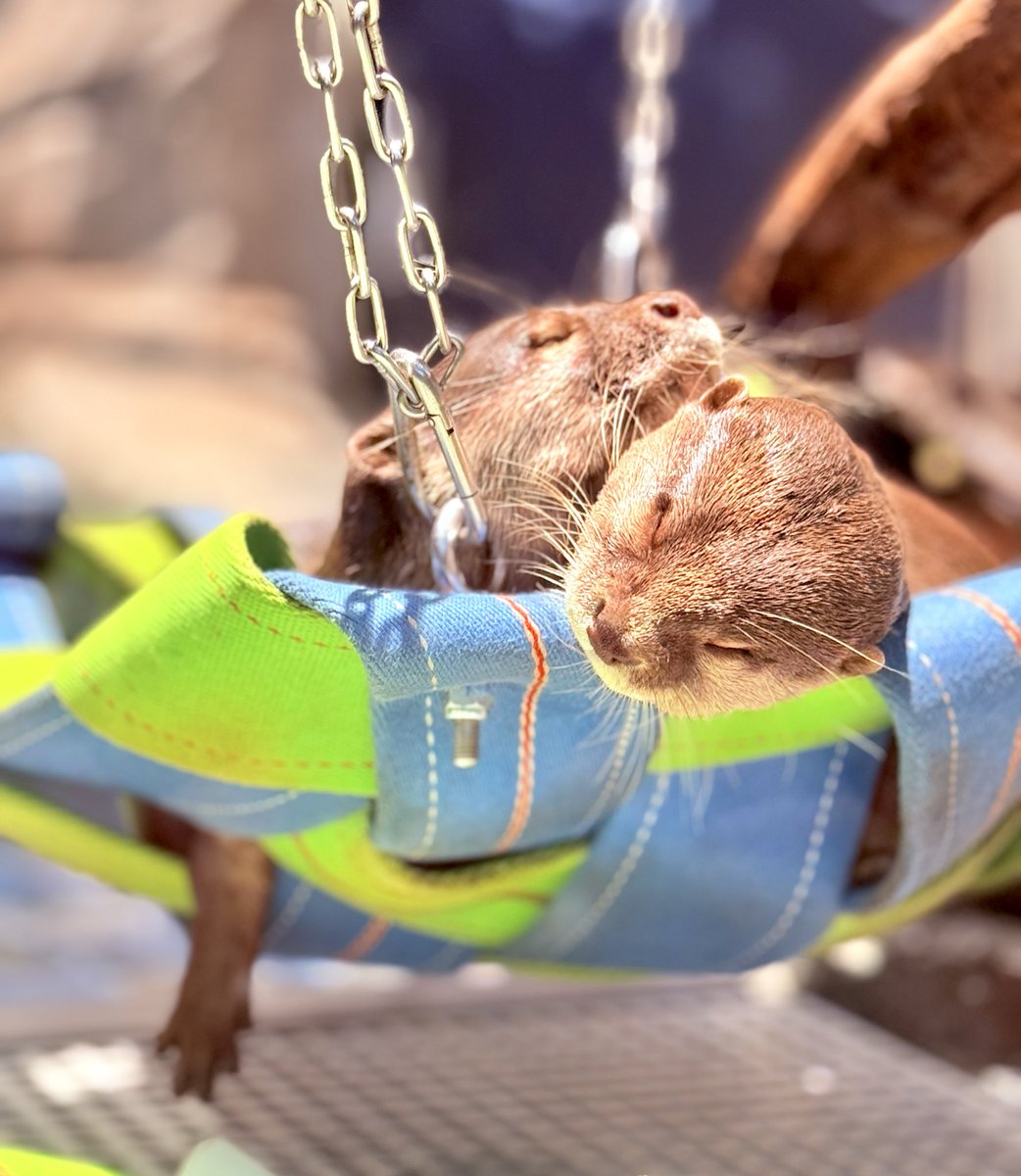 くまつな⭐︎ 小松菜奈 Nana Komatsu fanstagram (@502.7__fan) • Instagram