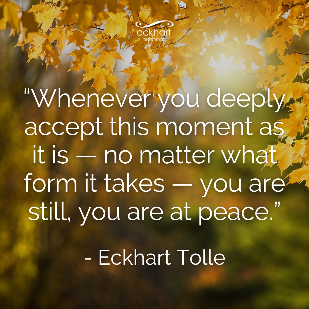 Eckhart Tolle tweet media