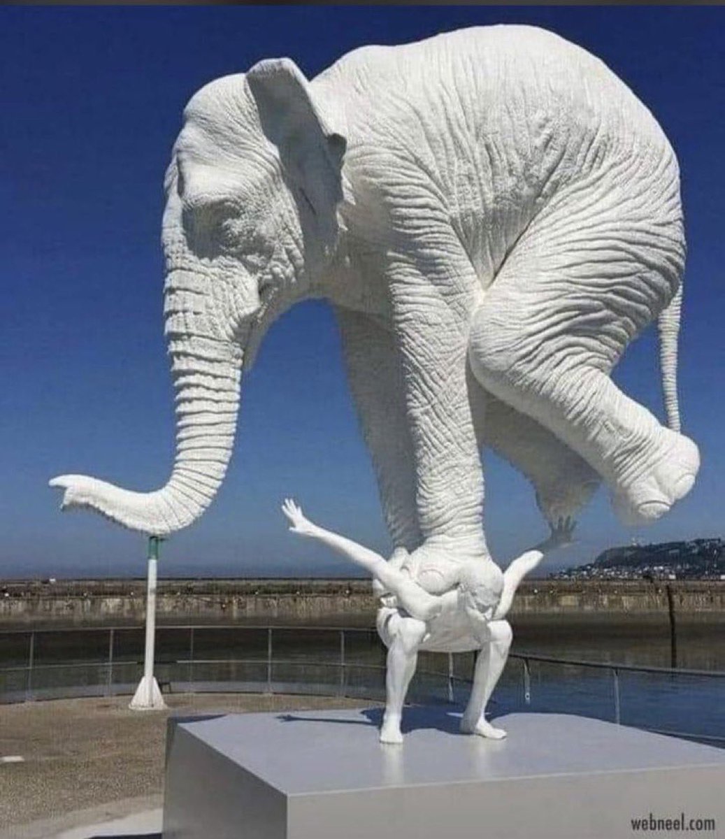 "Odadaki fili görmezden gelenler, onun ağırlığını taşımaya mahkumdurlar."