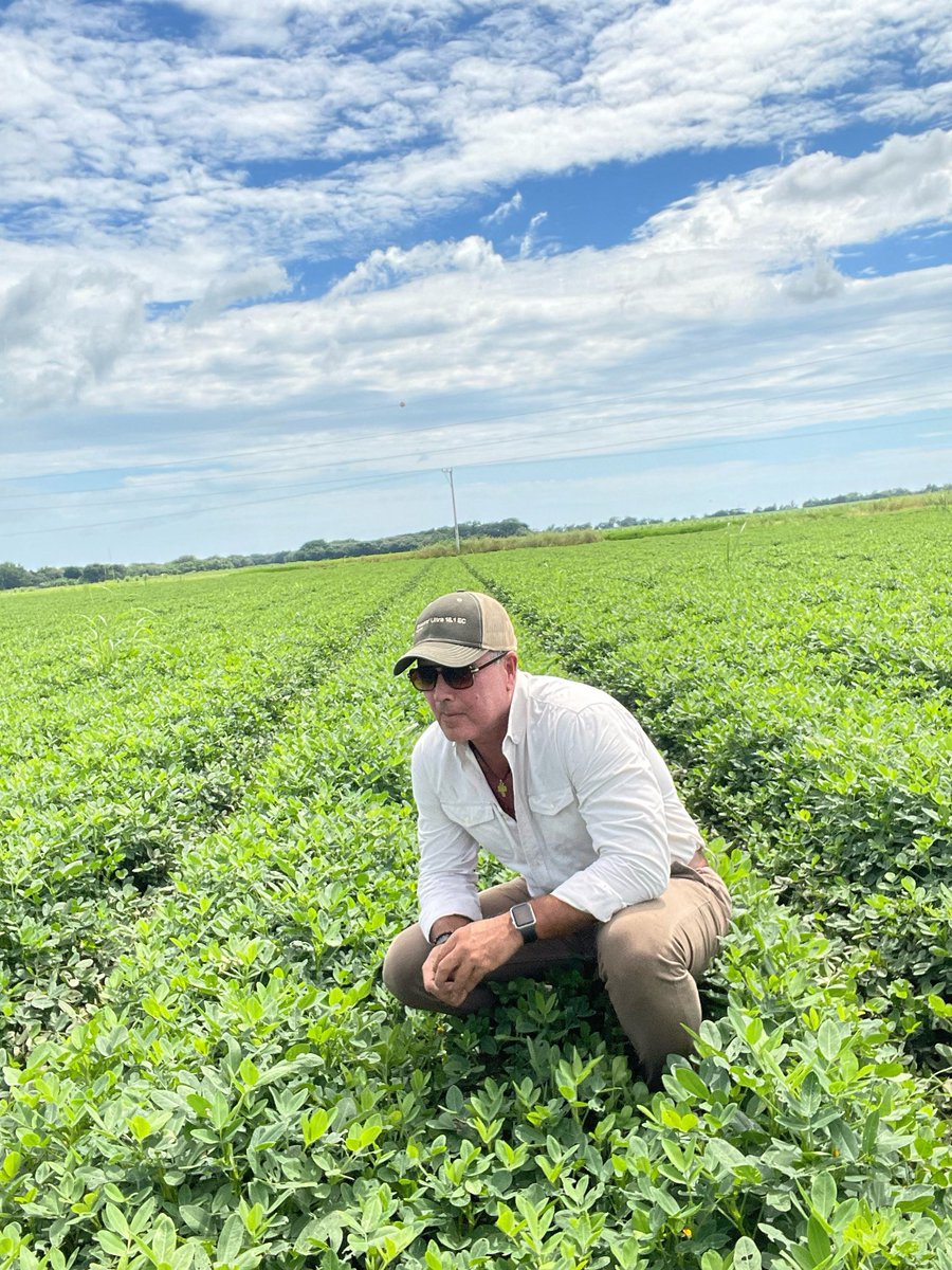 jamfuchs's tweet photo. Terminando una semana de trabajo …. Como agricultor… agradecido con el Señor por sus bendiciones,  Señor bendice la cosecha ! 🙏 https://t.co/GjZXOfAuJl