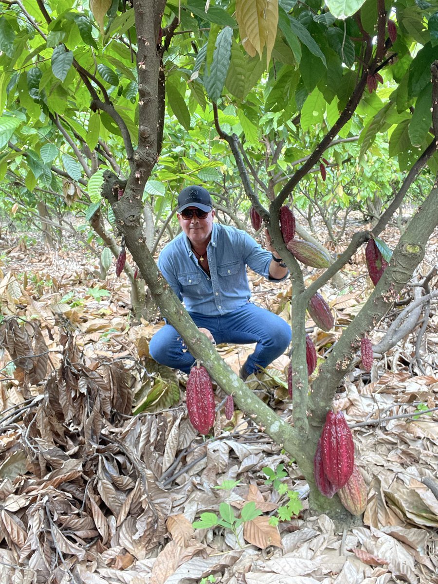 jamfuchs's tweet photo. Terminando una semana de trabajo …. Como agricultor… agradecido con el Señor por sus bendiciones,  Señor bendice la cosecha ! 🙏 https://t.co/GjZXOfAuJl
