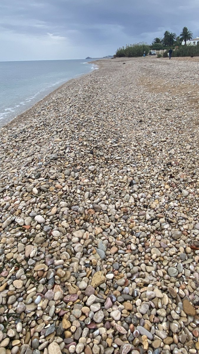 Harry Haller tweet media