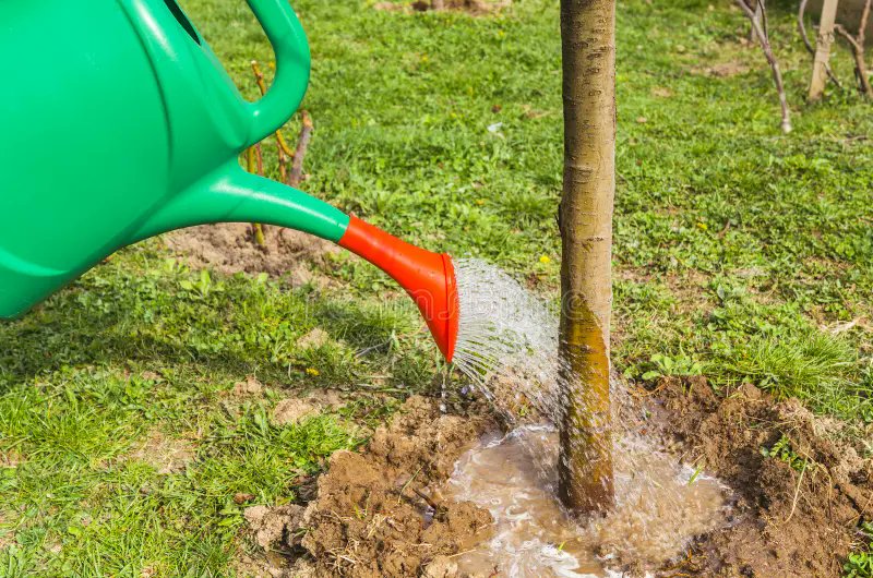 Stefan Willems (Beurs/Expat) tweet media