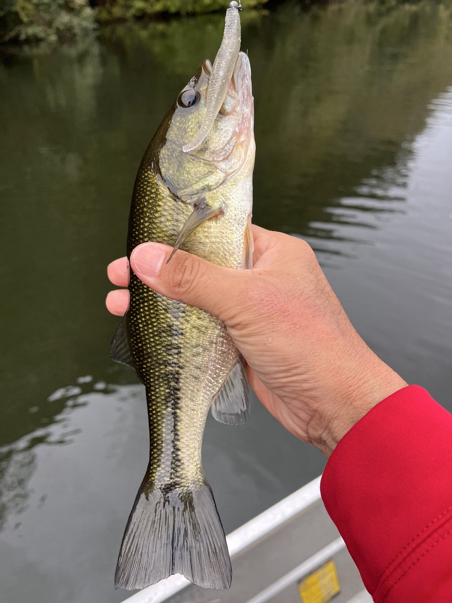 【まるりん】 まるりん@レクチャーガイド受付中！ on X