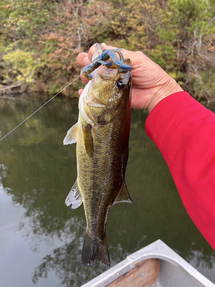 まるりんさん まるりん@レクチャーガイド受付中！ (@anglermarurin) / Posts / X