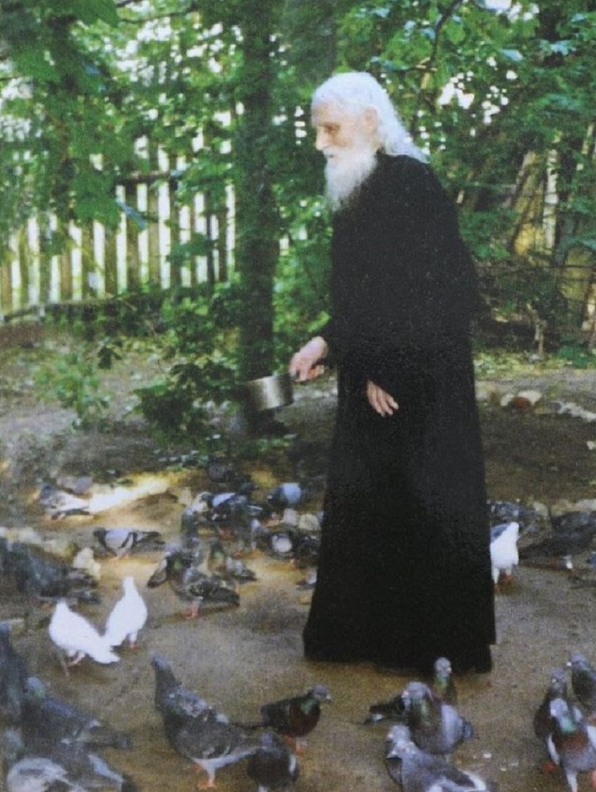 Τι άλλο πρέπει να προστεθεί για τον Σχήμα-Ηγούμενο Ρωμαίο. Ο πατέρας ήταν ο τελευταίος που τέλεσε την Θεία Ευχαριστία με τον Γέροντα Νικολάι Ζαλίτσκι.

Ας είναι δική τους η Βασιλεία των Ουρανών. 
☩ Οἱ Ὅσιοι Πατέρες, πρεσβεύσατε ὑπὲρ ἡμῶν