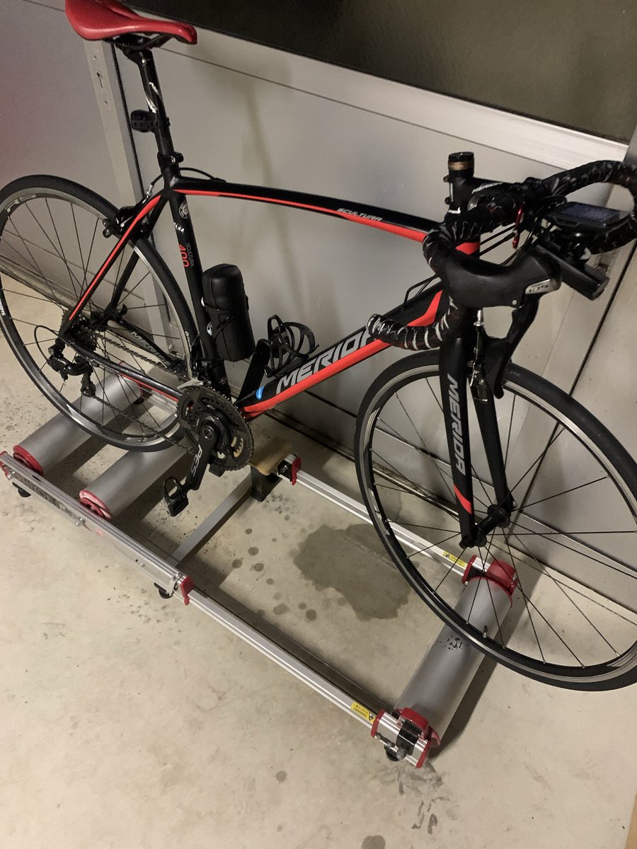 トシページ Amazon | オスリッチダイヤ オストリッチ 高級DXトレーシング