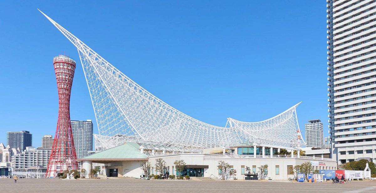 わたぽんぽー 280BD0BC-6735-456D-8E0A-