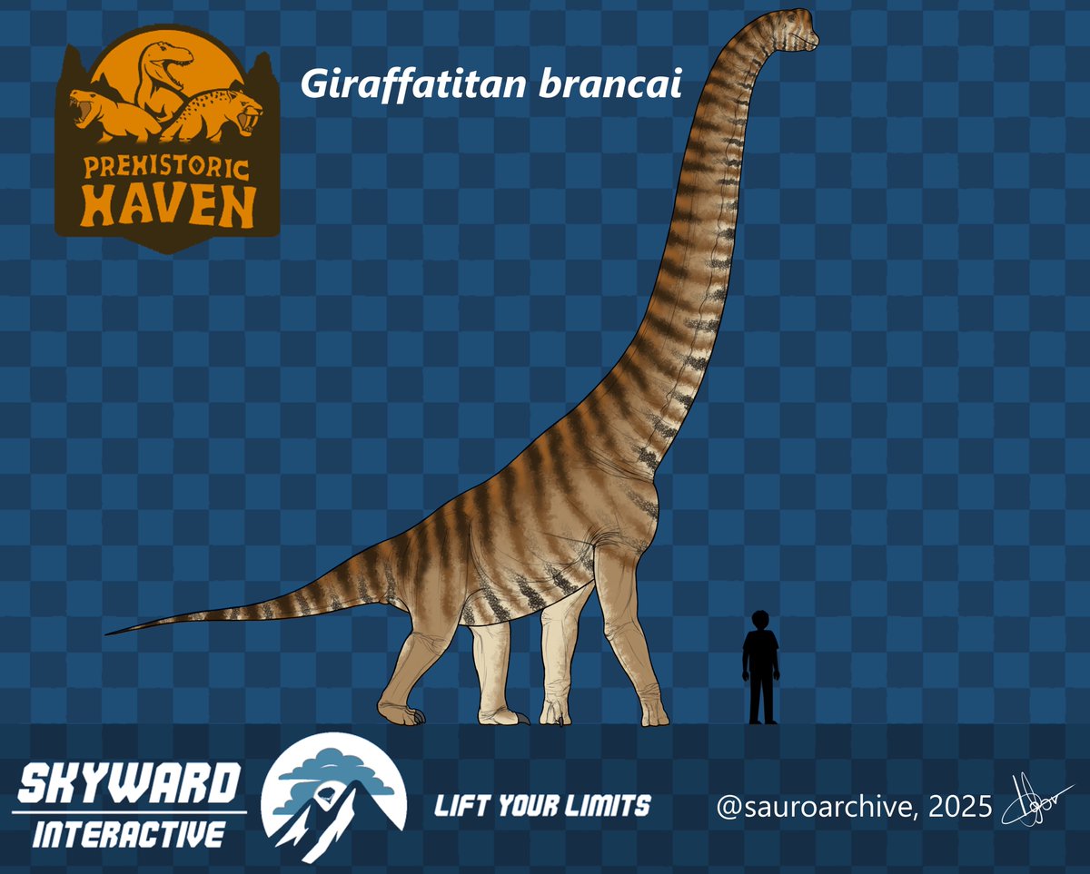 SkyWard Interactive tweet media