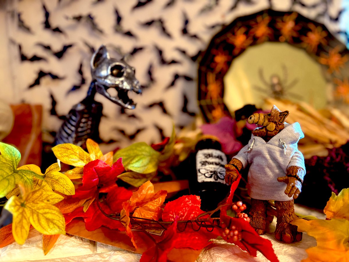 & テディ♡ページです•*¨*•.¸¸☆ ティーダThida🏳️‍🌈 on X