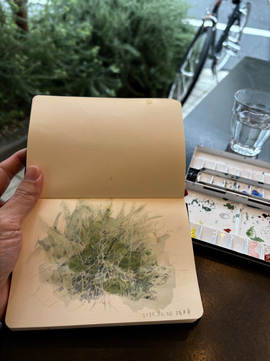 雨がほどよかった。
#ウォーキングスケッチ