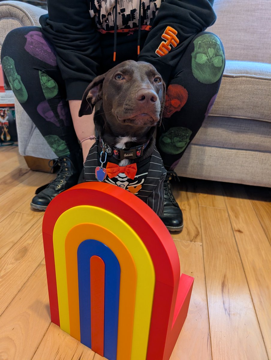 JeremieD287323's tweet photo. @samreich my dog dressed up as you for a doggy Halloween event yesterday in Connecticut.

He's been a good boy the whole time. https://t.co/tsJcW7gMDy