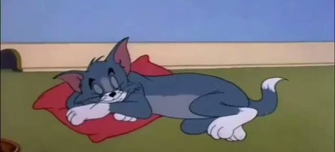 جسر السعادة وتسكين الألم هو النوم في النهاية.
x.com/DELTAs9O/statu…