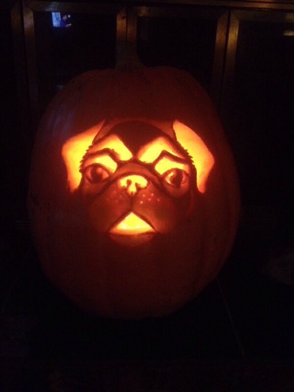 chuckthepug_ctp's tweet photo. Halloween is almost here. Time to pull out photos of Chuck the Pug (senior and junior) and his friends wearing different Halloween costumes🎃🐾❤️ #pugmommy #pugdaddy #pugs #seniorpug #pug #puglicious #puglove #lovepug #puglife #pugstagram #pugsnotdrugs https://t.co/kgxWhMf4r0